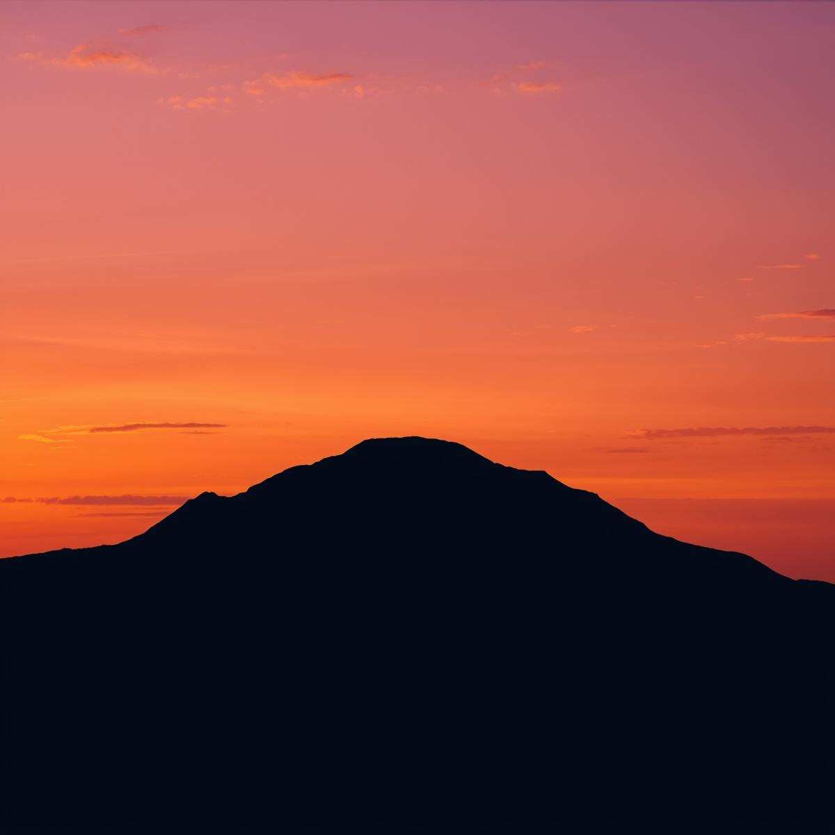 東京都渋谷区・自営業